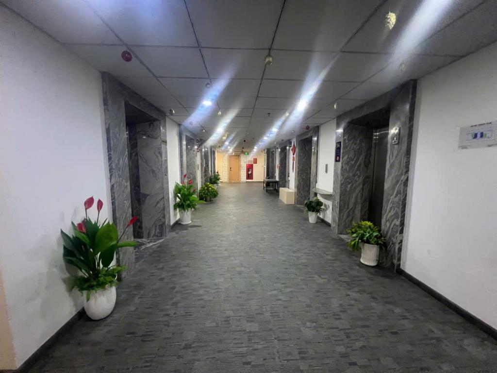 Студия — Muong Thanh Vien Cho, Vĩnh Phước, аренда квартиры SUNVIET