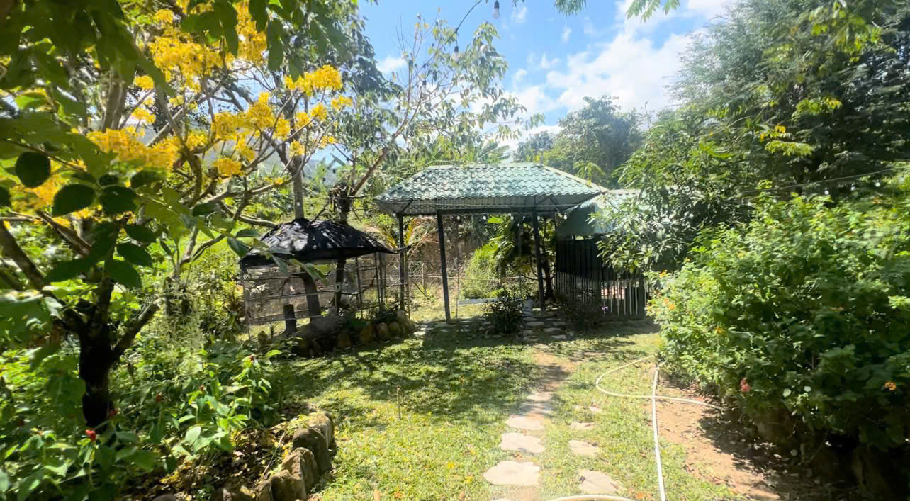 Вилла · 3 спальни — Phước Thượng, аренда квартиры SUNVIET
