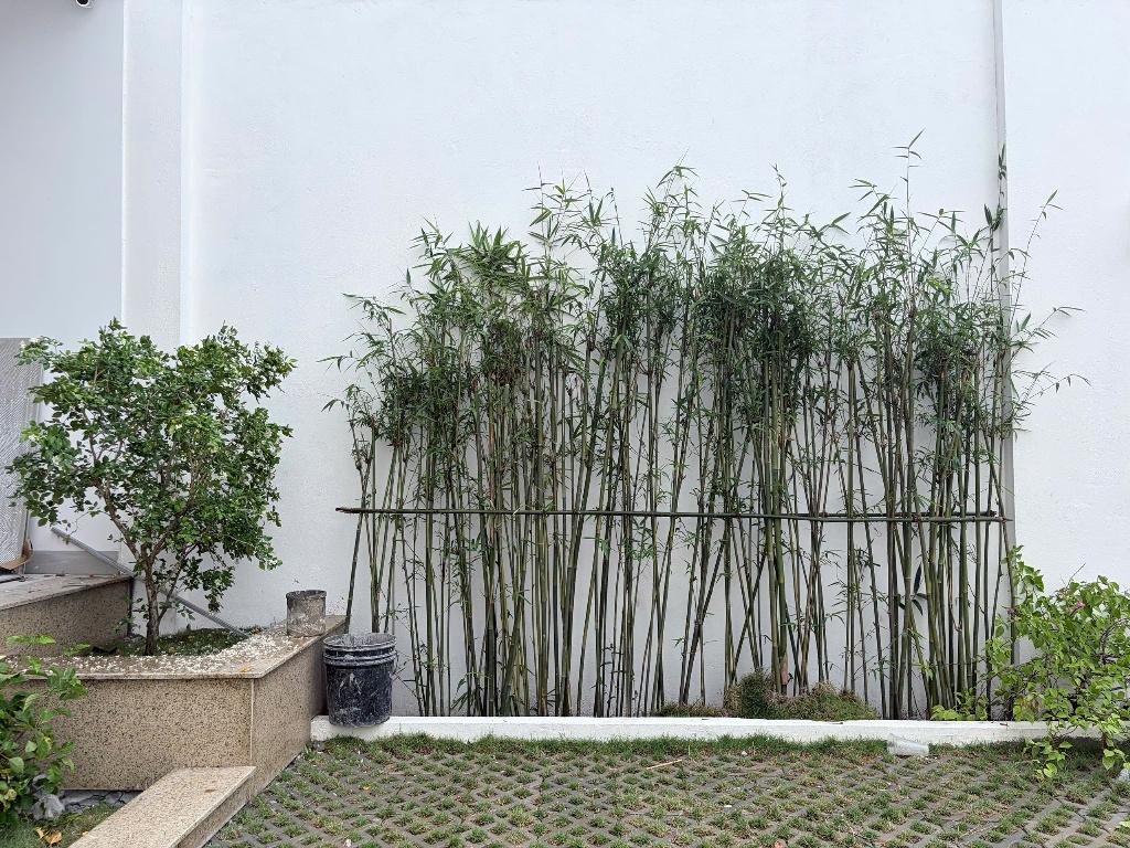 Квартира · 1 спальня — Hòn Chồng, Vĩnh Phước, аренда квартиры SUNVIET