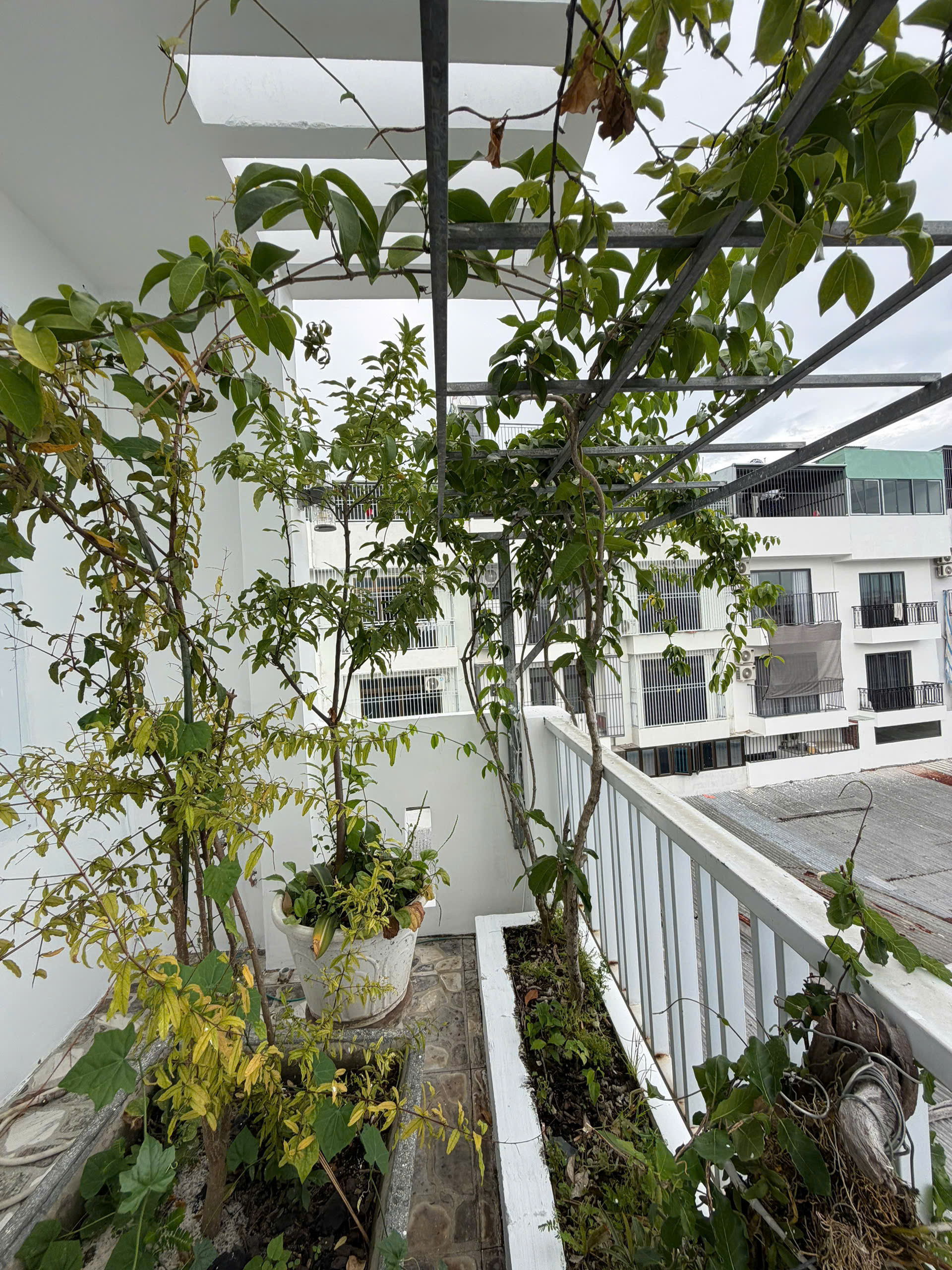 Дом · 4 спальни — Phạm Văn Đồng, Vĩnh Hòa, аренда квартиры SUNVIET